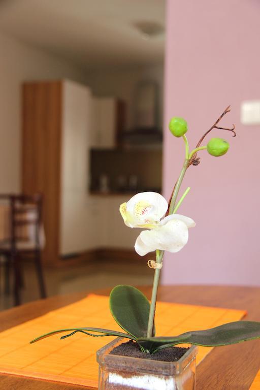 Vila Dravce Zimmer foto